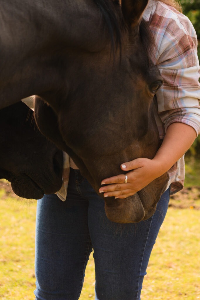 Paarden bij de buik van een persoon. Een diep niveau van verbinding en voelen