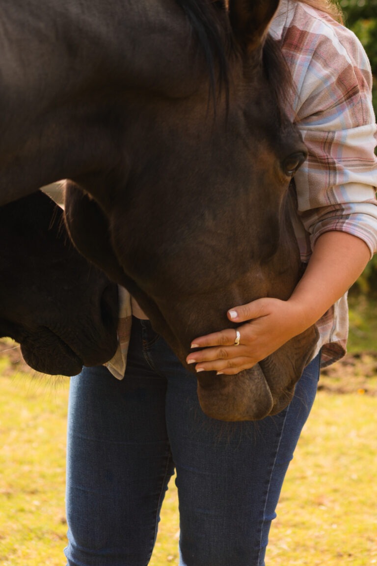 Paarden bij de buik van een persoon. Een diep niveau van verbinding en voelen