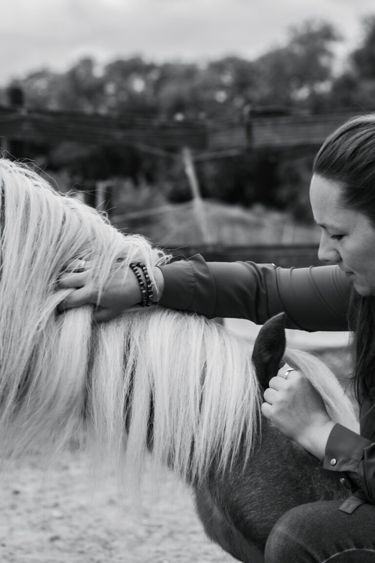 Vrouw wrijft met hand door de manen van het paard