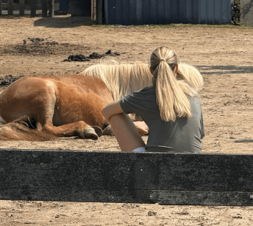 Klant met pony Magic paardencoaching