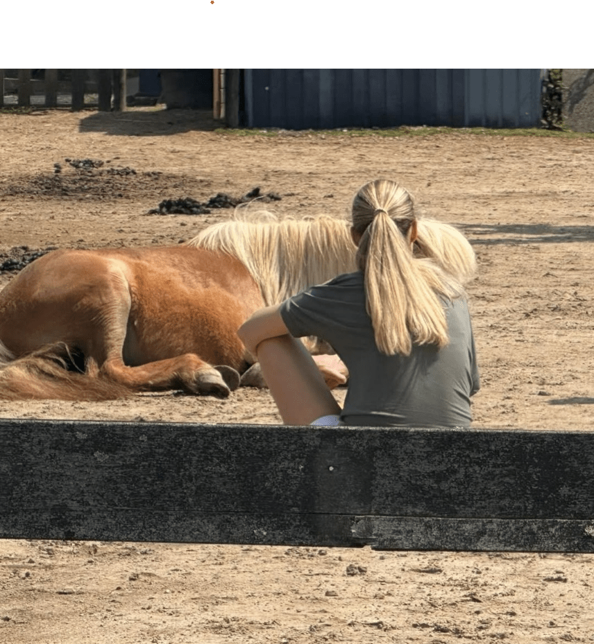 Klant met pony Magic paardencoaching