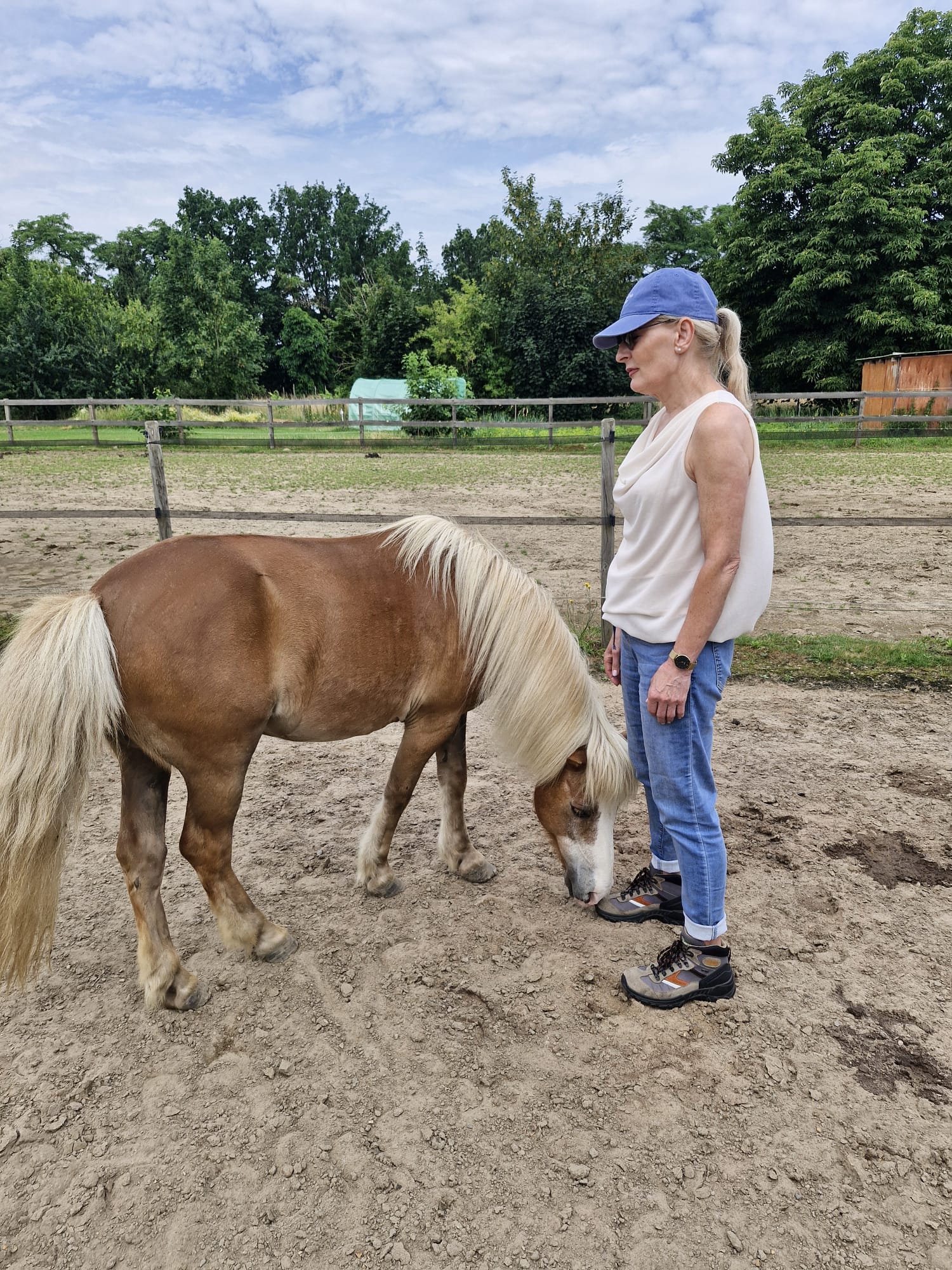 Klant die de uitnodiging krijgt van pony Magic om met de voeten op de grond te gaan staan en zich gedragen te voelen door de aarde